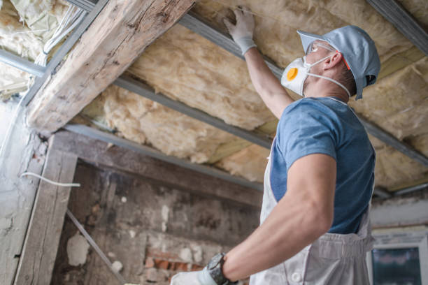 Best Local Insulation Services  in Ipswich, SD