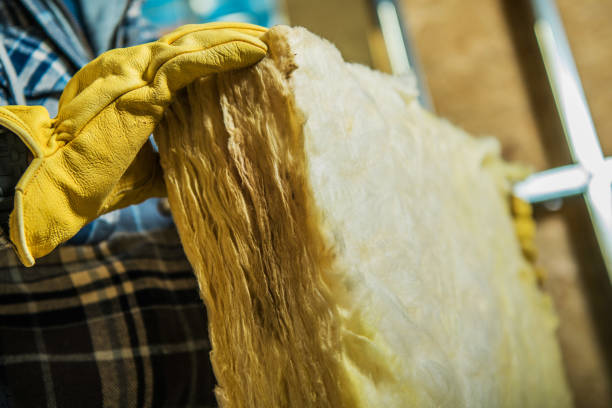 Professional Insulation Contractor in Ipswich, SD