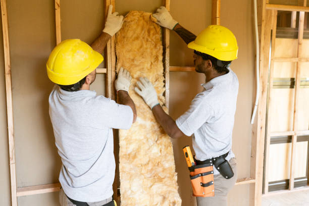 Best Insulation Repair Services  in Ipswich, SD
