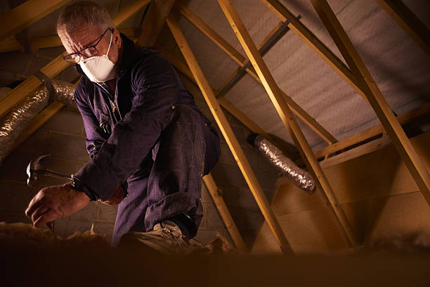 Best Insulation Contractor Near Me  in Ipswich, SD