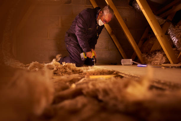 Best Best Insulation Companies  in Ipswich, SD